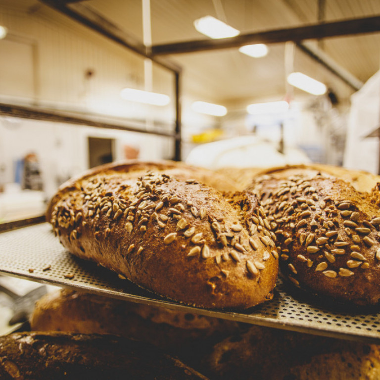 sesambraudhus-2016-033