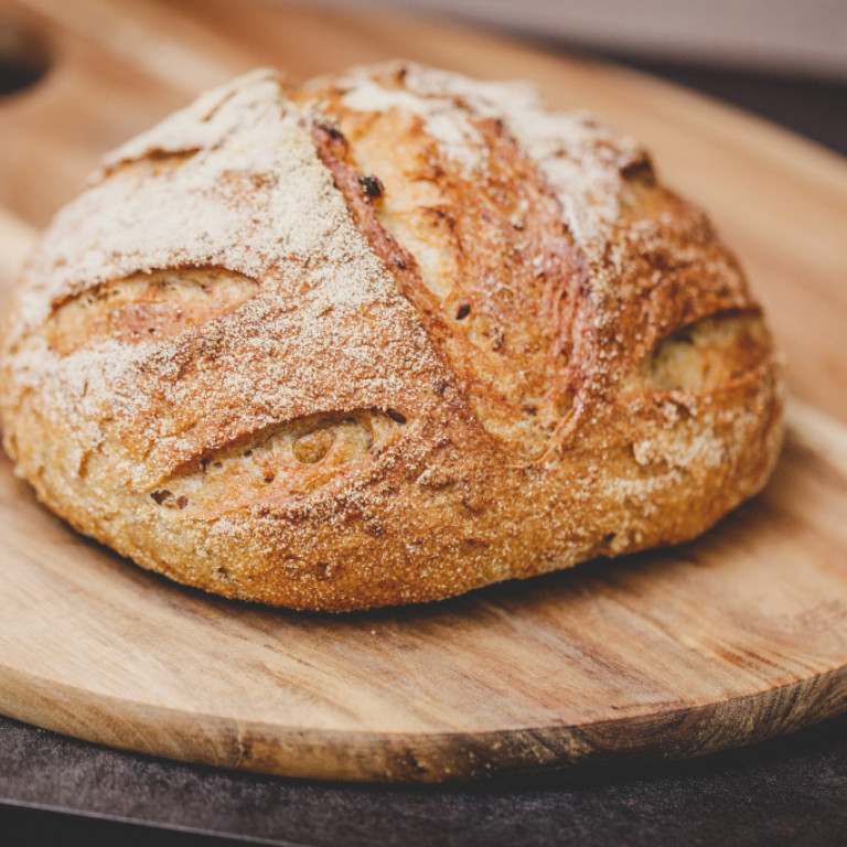 sesambraudhus-2016-194