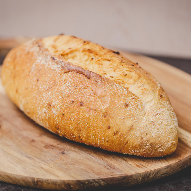 sesambraudhus-2016-200