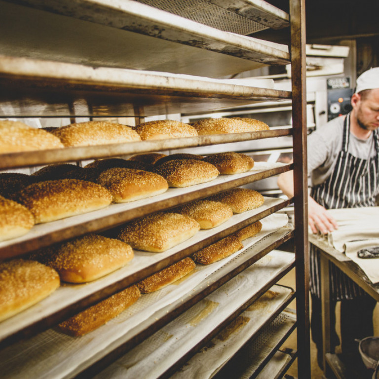 sesambraudhus-2016-253